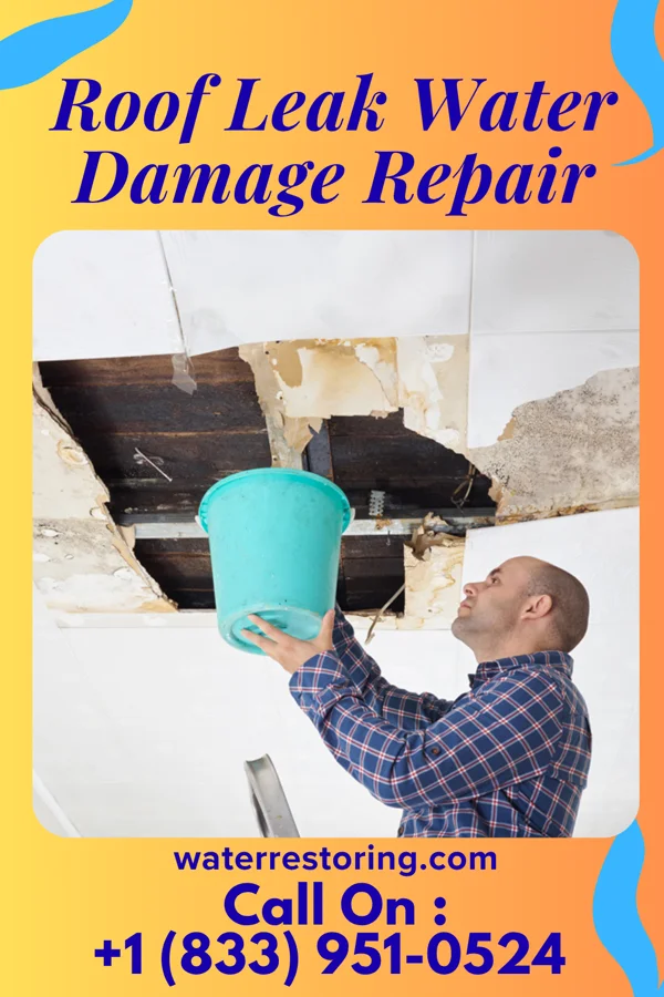 Roof Leak Water Damage Repair in Oakwood, TX