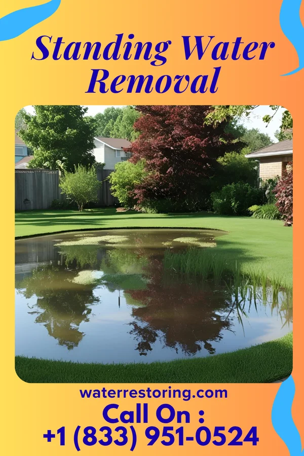 Standing Water Removal in Oakwood, TX